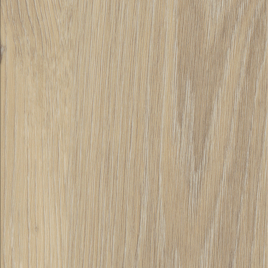 Maximus | French Oak - Desert