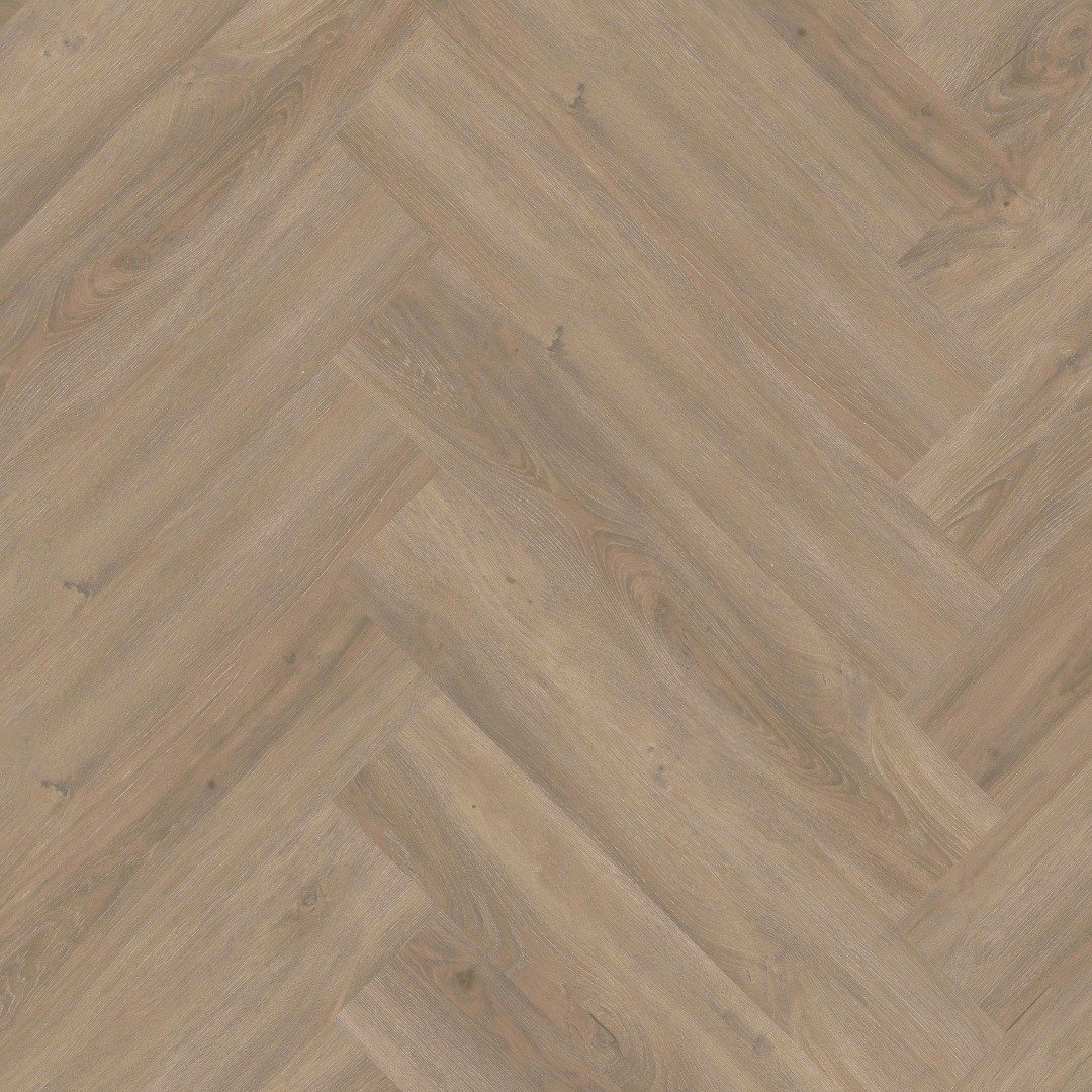 Maximus Visgraat | Divine Oak - Cookie