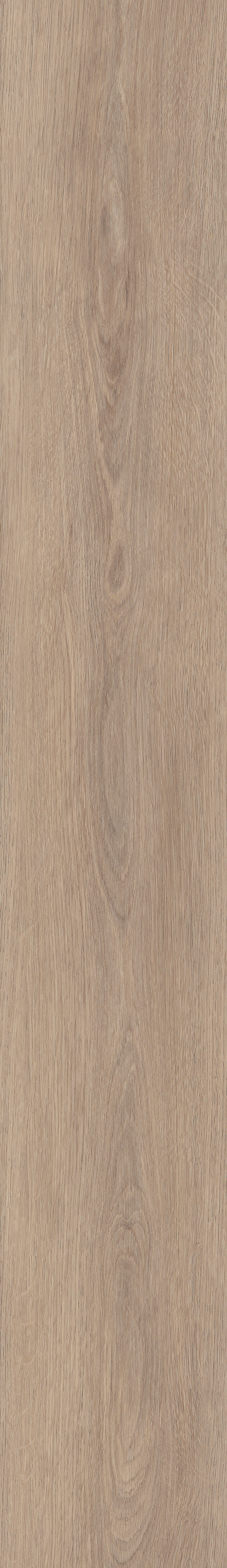 Primus | Cashmere Oak - Beach