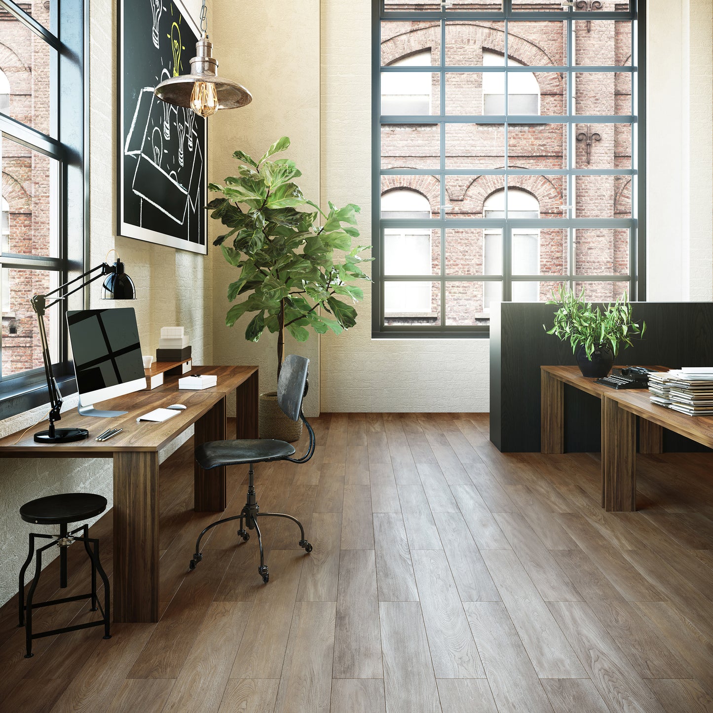 Maximus | New England Oak - Toffee